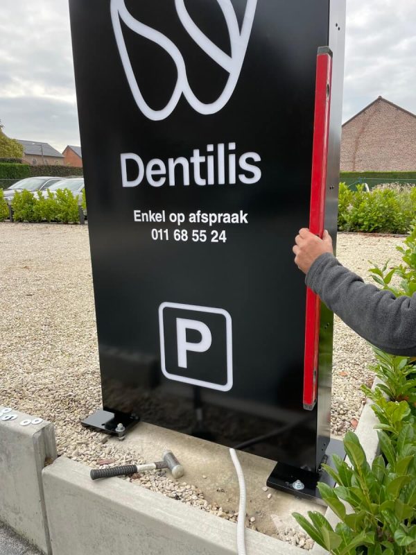 dentilis (7)